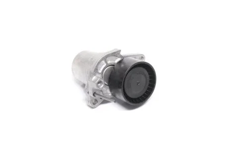 Натяжная планка, поликлиновый ремень. SCHAEFFLER GRUPPE 534 0624 10