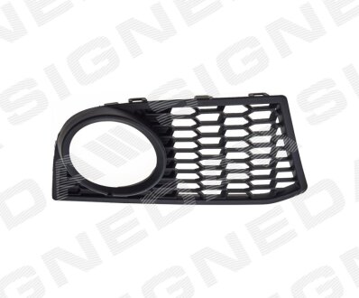 Решітка в бампер BMW 5 (F10/F11), 10-16 Signeda PBM99079CAR