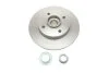 Диск тормозной (комплект) SKF VKBD 1012 (фото 1)