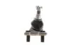 Опора кульова TOYOTA CAMRY 2006=> FRONT R (СНИЗУ) -ua SKF VKDS 811045 (фото 6)