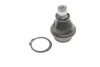 Опора кульова NISSAN NP300, PATHFINDER III 05- перед. міст низ (Вир-во) C.I.U SKF VKDS 812002 (фото 1)