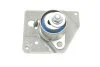 Роликовий модуль натягувача ременя RENAULT/MITSUBISHI 1.9DI/TDI 9 SKF VKM 16113