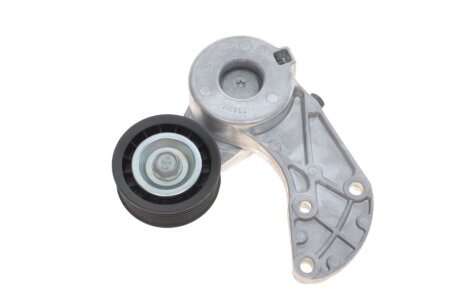 Ролик модуля натягувача ременя AUDI, PORSCHE, VW Q7, CAYENNE, PHAETON, TOUAREG -ua SKF VKM 31318