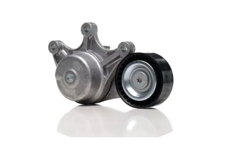 Ролик модуля натягувача ременя BMW, BMW (BRILLIANCE) 1, 2, 3, 4, 5, X1, X3, X4, Z4, 3 SERIES, 5 SERI -ua SKF VKM 38227