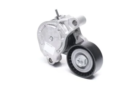 Ролик модуля натягувача ременя BMW, MINI 2, X1, MINI CLUBMAN -ua SKF VKM 38872