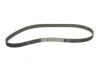 Комплект ГРМ VW T3/Passat/Golf II 1.5-1.7D/TD 77-92 (25x135z) (opt-om) SKF VKMA 01010 (фото 2)