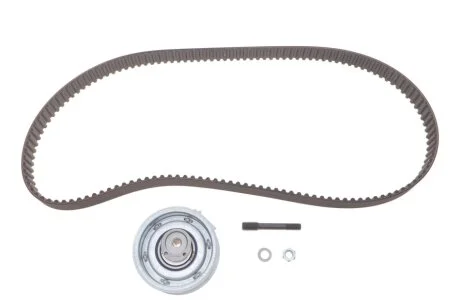 Ремінь ГРМ з роликами, комплект VAG (Вир-во) SKF VKMA 01113