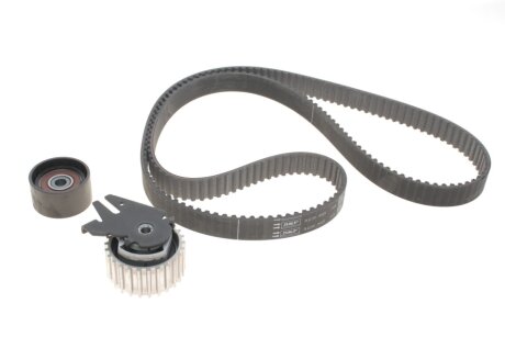 Роликовий модуль натягувача ременя (ролик, ремінь) FIAT DOBLO 1.6D/08-, ALFA SKF VKMA 02199