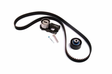 Комплект ременя ГРМ SKF VKMA 03251