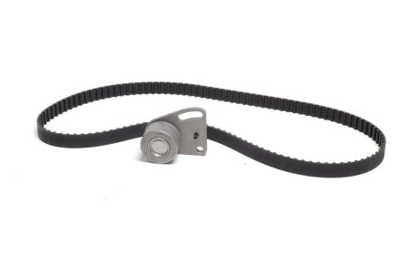 Роликовий модуль натягувача ременя (ролик, ремінь) FORD CAPRI 1980-1987, ESCORT 1976-1980, GRANADA -ua SKF VKMA 04001