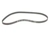 Роликовий модуль натягувача ременя (ролик, ремінь) OPEL ASTRA F (56-, 57-) 1.6 I 16V SKF VKMA 05152 (фото 7)