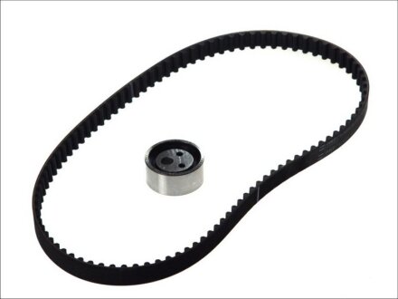 Роликовий модуль натягувача ременя (ролик, ремінь) RENAULT CLIO 1996-1998, EXTRA 1992-1998, R19 199 -ua SKF VKMA 06000