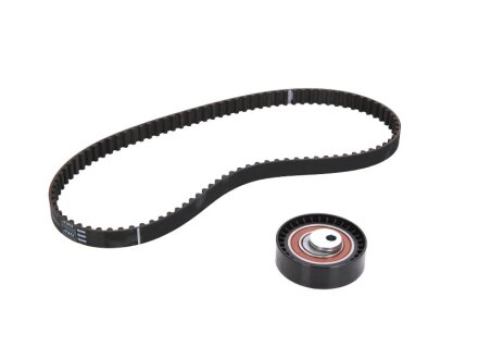 Роликовий модуль натягувача ременя (ролик, ремінь) DACIA, RENAULT -ua SKF VKMA 06009