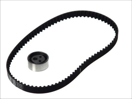 Роликовий модуль натягувача ременя (ролик, ремінь) RENAULT KANGOO 2003-2005, TWINGO 2008-2011 -ua SKF VKMA 06010