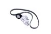 Комплект доріжкового ремня SKF VKMA 31001