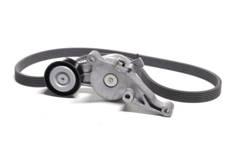 Роликовий модуль натягувача ременя (ролик, ремінь) VW SHARAN (7M8, 7M9, 7M6) 1.9 TDIBVK -ua SKF VKMA 31091