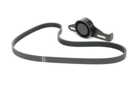 Роликовий модуль натягувача ременя (ролик, ремінь) SKF VKMA 36091