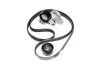 Роликовый модуль натяжителя ремня (ролик, ремень) SKF VKMA 36103