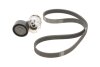 Комплект поліклинового ременя (Вир-во SKF) VKMA 36179 C.I.U