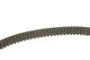 Комплект ременя ГРМ (Вир-во) SKF VKMA 95651 (фото 3)