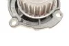 Комплект ременя ГРМ з водяним насосом SKODA OCTAVIAII (1Z3) 1.6 (Вир-во) SKF VKMC 01113-1 (фото 5)