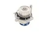 Комплект ременя ГРМ з водяним насосом SKODA OCTAVIAII (1Z3) 1.6 (Вир-во) SKF VKMC 01113-1 (фото 7)