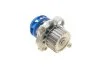 Водяний насос + комплект зубчастого ременя (Вир-во) SKF VKMC 01113-2 (фото 5)