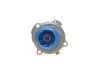Комплект (ремінь+ролик+помпа) SKF VKMC 01222-1 (фото 6)