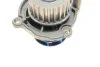 Комплект (ремінь+ролик+помпа) SKF VKMC 01222-1 (фото 9)