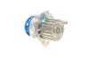 Водяний насос + комплект зубчастого ременя (Вир-во) SKF VKMC 01250-2 (фото 6)