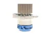 Водяний насос + комплект зубчастого ременя (Вир-во) SKF VKMC 01250-2 (фото 10)