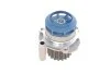 Водяний насос + комплект зубчастого ременя (Вир-во) SKF VKMC 01259-1 (фото 3)