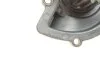 Комплект ремня ГРМ с водяным насосом FORD KUGA II (DM2) 2.0 TDCi (пр-во) SKF VKMC 03205 (фото 8)