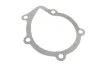 Водяний насос + комплект зубчастого ременя (Вир-во) SKF VKMC 03244 (фото 20)