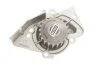 Водяний насос + комплект зубчастого ременя (Вир-во) SKF VKMC 03244 (фото 10)