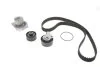 Водяной насос + комплект зубчатого ремня (Пр-во) SKF VKMC 03256