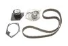 Комплект ремня ГРМ + насос SKF VKMC 06008