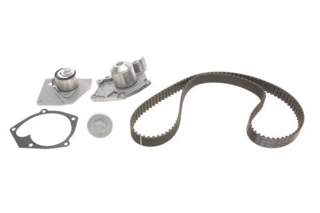 Водяной насос + комплект зубчатого ремня RENAULT MEGANE II 1.9 dCi 2004 - 2006 (Пр-во) SKF VKMC 06129