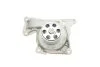 Водяний насос + комплект зубчастого ременя (Вир-во) SKF VKMC 06134-3 (фото 11)