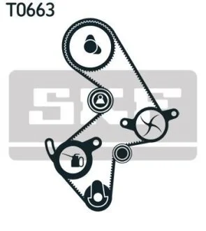 Роликовый модуль натяжителя ремня (ролик, ремень, насос) SKF VKMC 91003