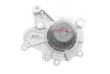 Комплект (ремінь+ролик+помпа) SKF VKMC 95660-3 (фото 9)