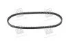 Ремень клиновый 13AVx875 (Выр-во) SKF VKMV13AVx875 (фото 3)