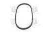 Ремень клиновый 13AVx875 (Выр-во) SKF VKMV13AVx875 (фото 4)