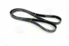 Ремінь поліклін. (вир-во) SKF VKMV6PK1815