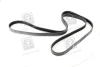 Ремінь поліклін. (вир-во) SKF VKMV6PK2270 (фото 3)