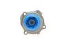 Насос водяний VAG (Вир-во) SKF VKPC 81220 (фото 3)