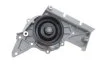 Насос охолоджуючої рідини (Вир-во) SKF VKPC 81304 (фото 9)