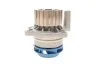 Насос водяний VAG (Вир-во) SKF VKPC 81623 (фото 5)