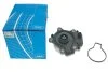 Водяний насос (Вир-во) SKF VKPC 91856 (фото 6)