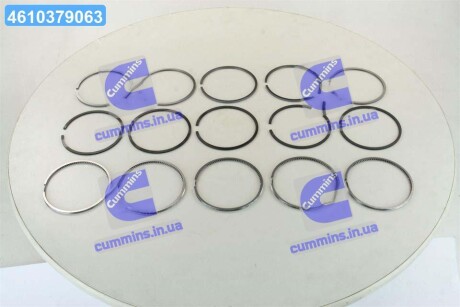 Кільця поршневі компл. на 5 поршнів VAG 81,00 2,5 x 2,0 x 3,00 mm (SM) SM MVI 795041-00-5